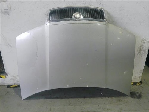 Cofano skoda fabia item23 - fabia,