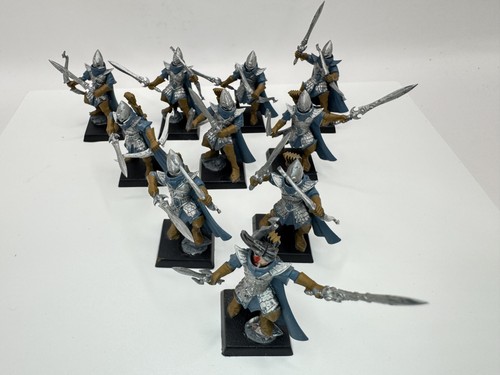 High elf shadow warriors - shadow,