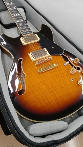 Ibanez jsm10 used - used, electric