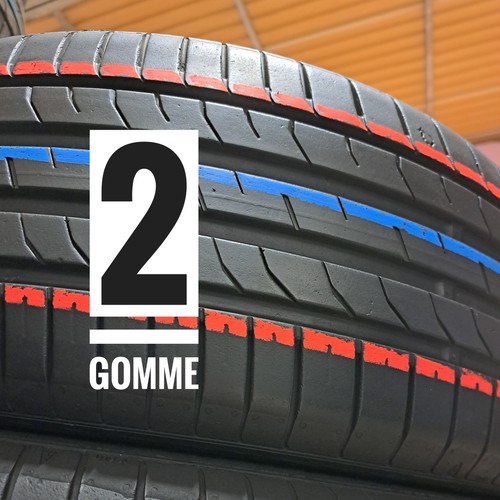 215 r17 98w coppia - 215/55,