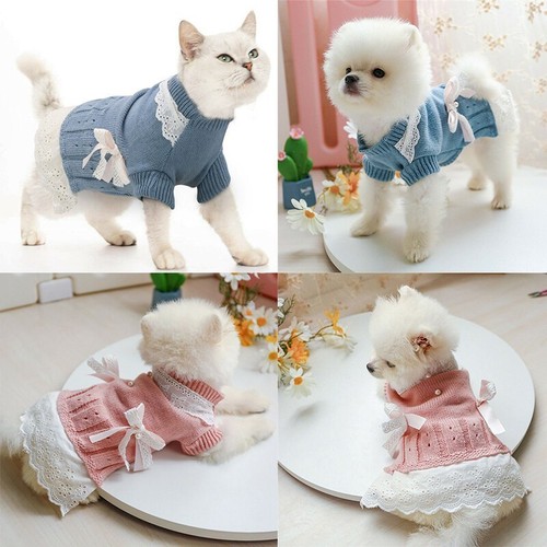 Cappotto cucciolo gatto