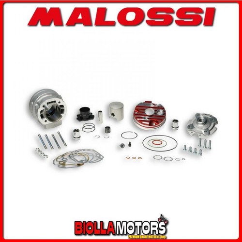 3115390 gruppo termico malossi - gruppo,