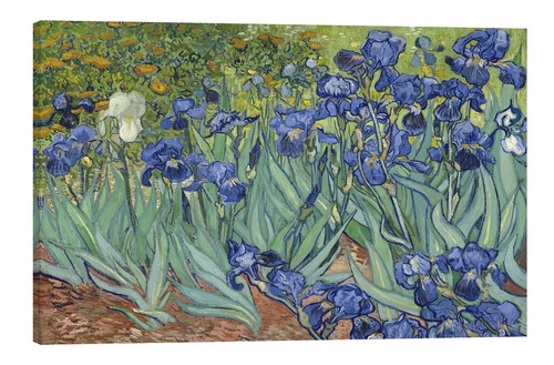 Tela cornice vincent - tela/cornice, gogh