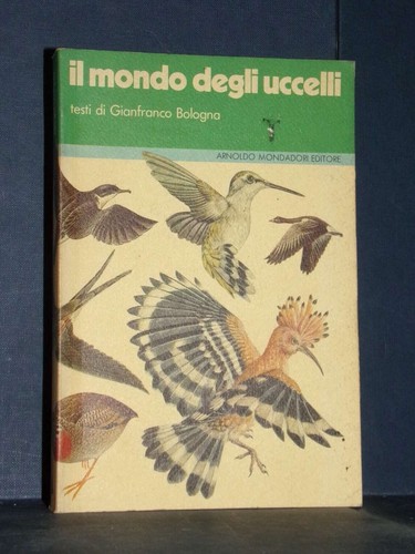 Bologna mondo degli - -,