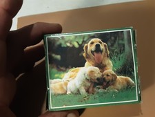 MINI PUZZLE 30 PZ DIMENSIONI FINALI 15,5X13,3 GOLDEN RETRIVER CON CUCCIOLI