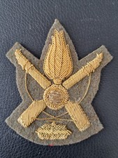 fregio da berretto di fanteria motorizzata 