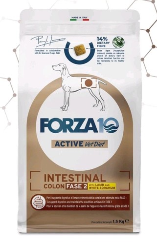 Forza intestinal colon fase - 10,