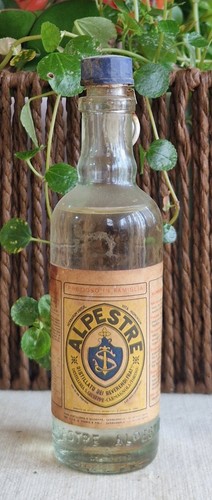 Mignon alpestre carmagnola - mignon,