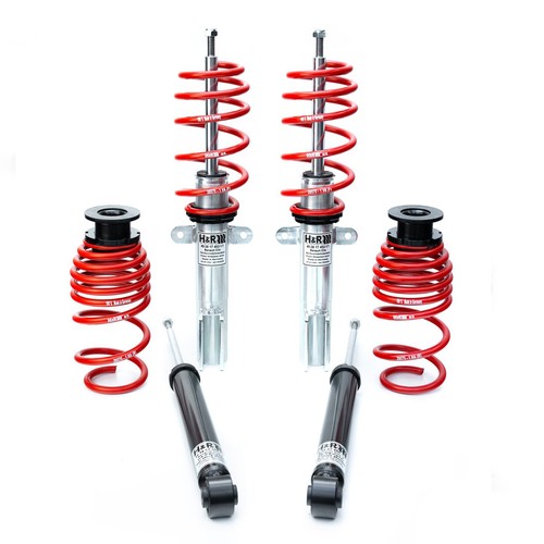 Sospensioni coilovers - sospensioni,