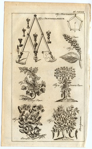 Stampa