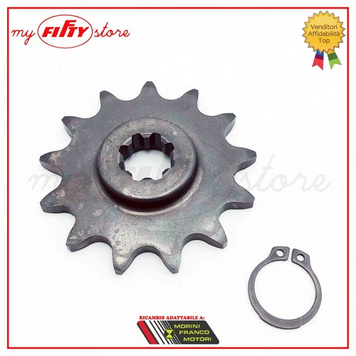 Pignone motore z13 franco - pignone,