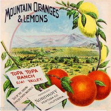 Nordhoff Ojai Valley Topa