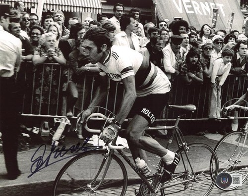 Foto firmata eddy - foto, merckx