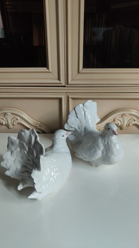 Coppia due colombe bianche - di,