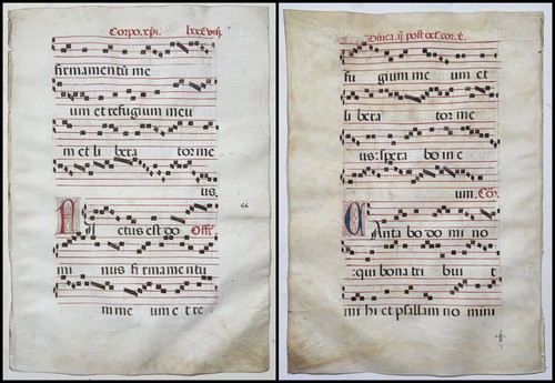 Antifonario pergamena - antifonario,