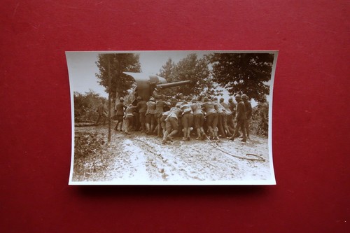 Fotocartolina sezione - fotocartolina,
