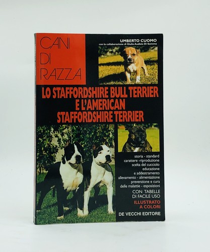 Staffordshire bull terrier - lo,