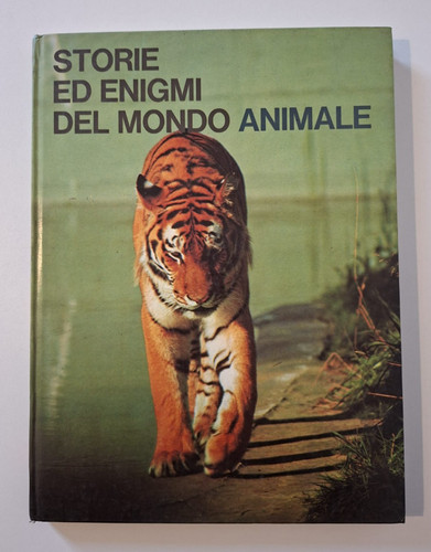 Storie enigmi del mondo - storie, ed