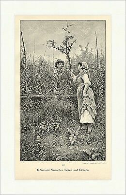 Zonaro tra rose - zonaro.,