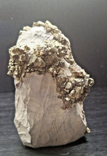 Minerali da collezione - Pirite  – Conio di Missano, Genova, Liguria, Italia 