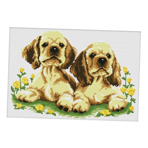 Dimensions crafts kit - dimensions,