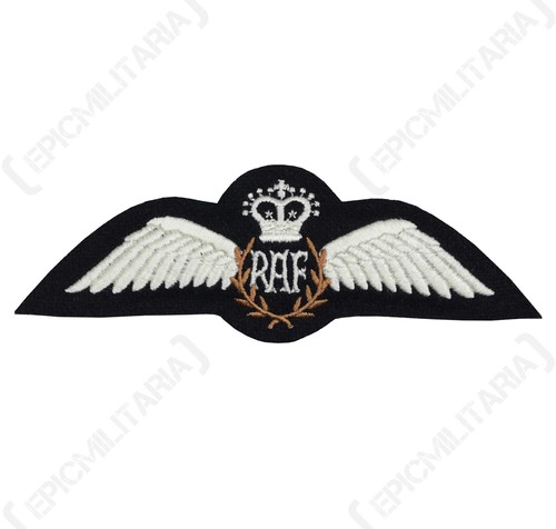 Modern british raf pilot - modern,