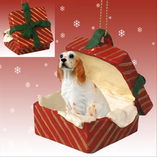 Setter inglese arancione