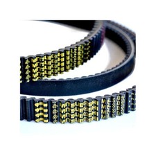 Cinghia di trasmissione