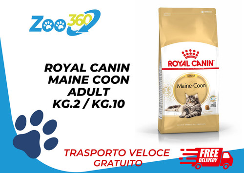 Royal canin gatto maine coon - gatto,