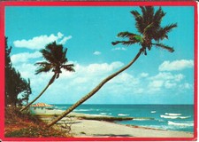 Florida Coast (USA) 5 cart., Everglades, Whispering Palms, Horse Conch, Pelican