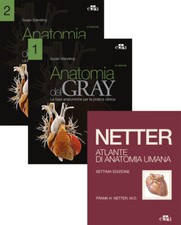 Netter Gray. L'anatomia