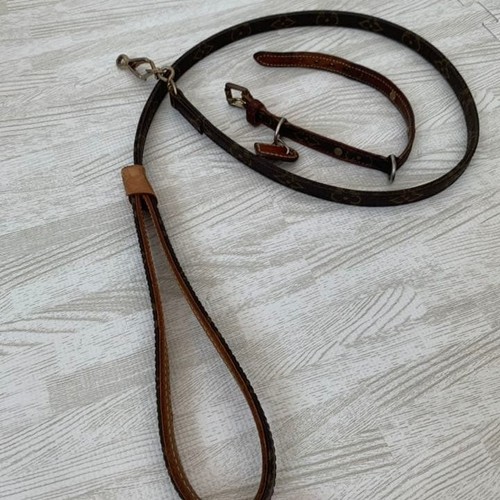 Louis vuitton monogram - louis,