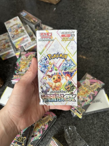 Pokemon terastal festival - pokemon, ex