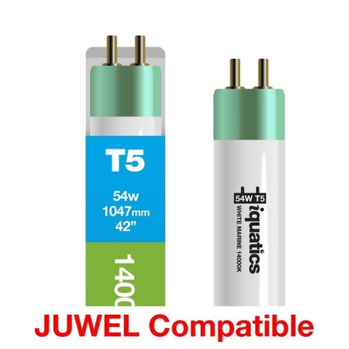 Iquatics juwel compatibile - juwel,