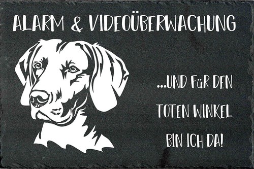 Weimaraner cartello - cartello, di