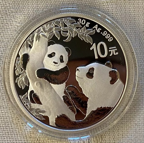 Cina panda moneta argento - moneta,