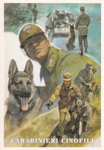 Cartolina militare - cartolina,
