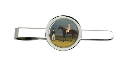 Cavallo corsa birmingham da - cavallo,