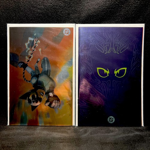 Absolute catwoman cover - cover, e