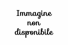 IL GOBBO DI NOTRE DAME II 2