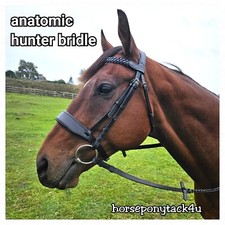 SPETTACOLO ANATOMICO IMBOTTITO