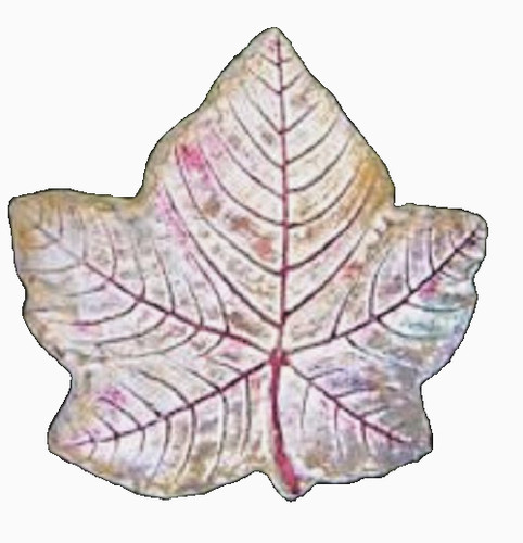 Stampo foglie cemento - ,