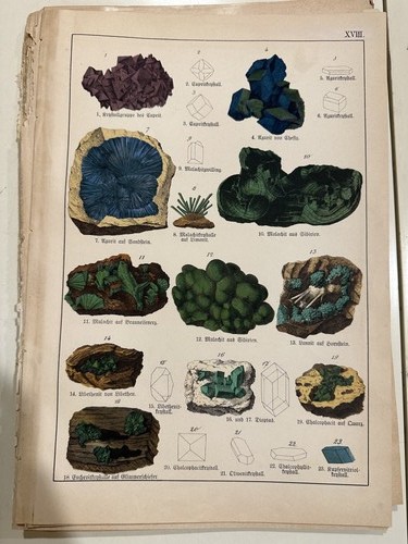 Stampa antica incisione 1888