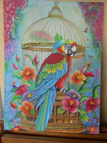 Quadro pappagallo in - ",