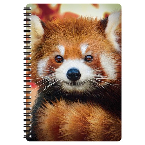 Livelife quaderno - 3d,