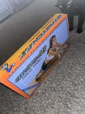 Rullo allenamento Ab Power