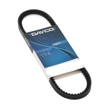 Cinghia trasmissione dayco - trasmissione,