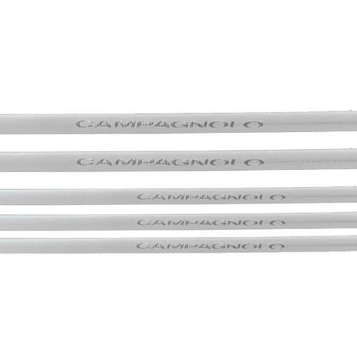 Campagnolo ultrashift - campagnolo, /