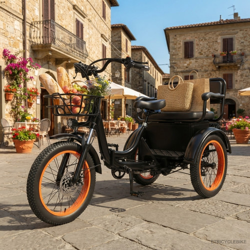 Triciclo elettrico pieghevole - elettrico,