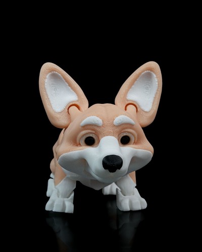 Welsh corgi rufus - welsh, ‘rufus’